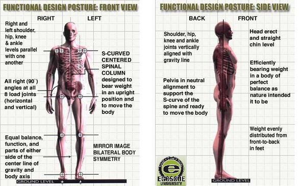 Functional Design Posture.jpg